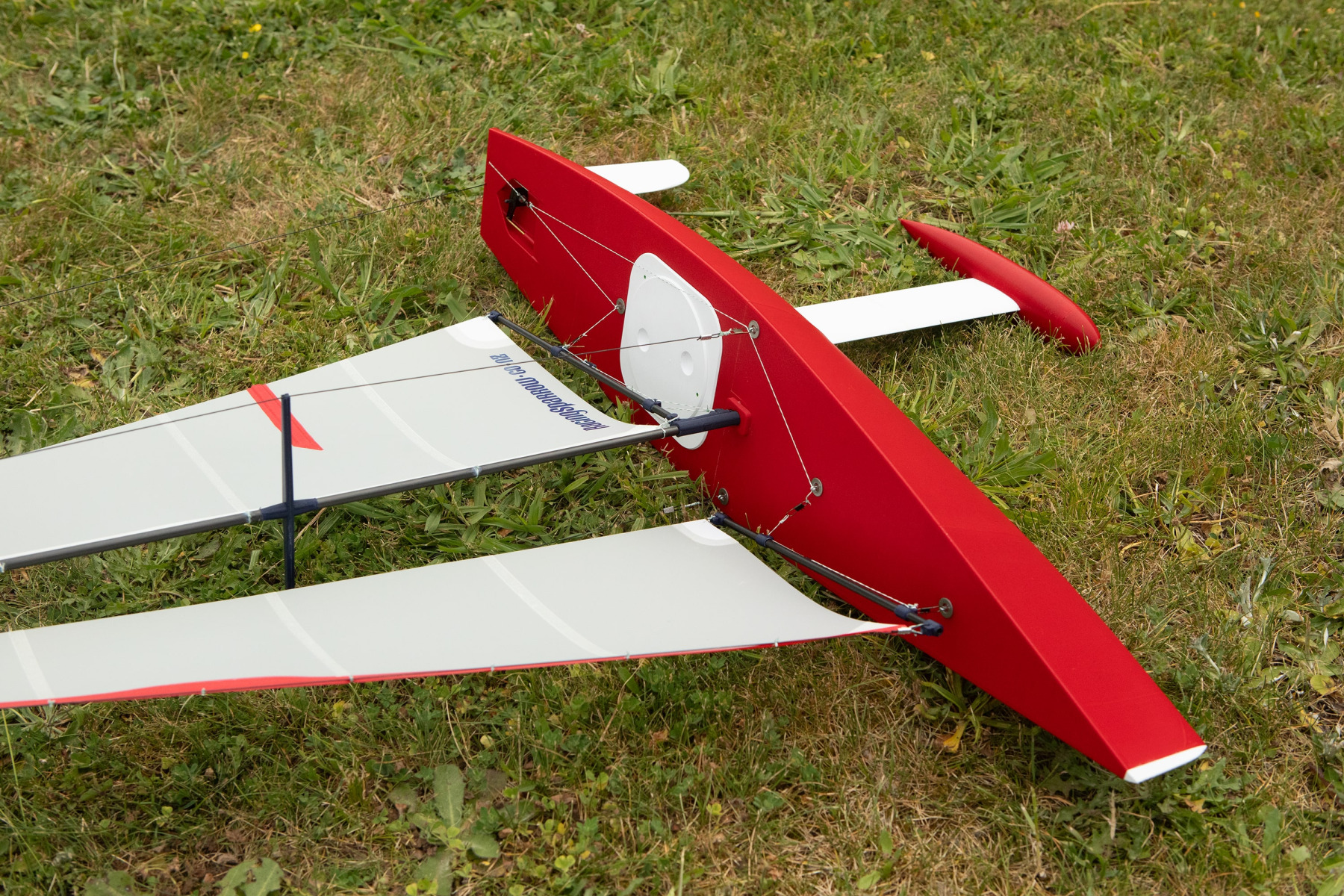 Two Racing Sparrow 3Ds sitting in a wooden box cradle