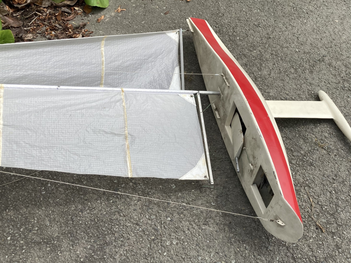 racing sparrow neglected